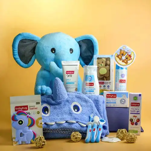 Newborn Comfort N Play Gift Set