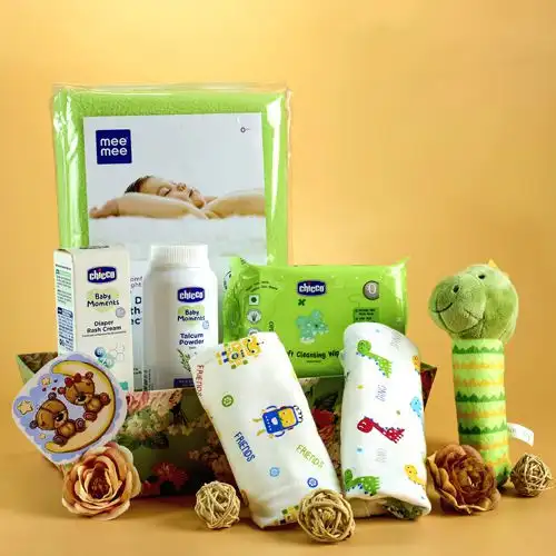 Baby Care N Comfort Essentials Gift Set