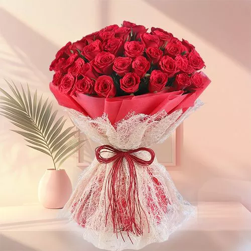 Red Roses Elegance