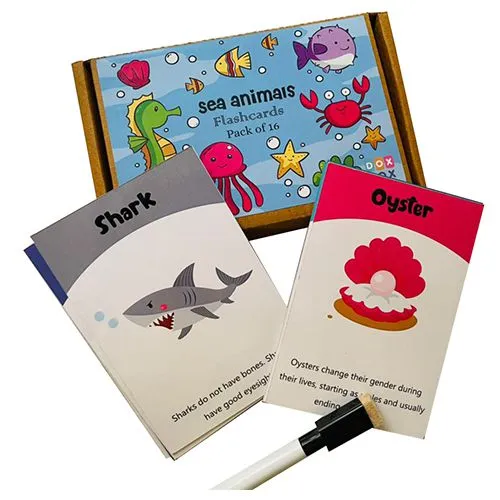 Discover Sea Animals Set