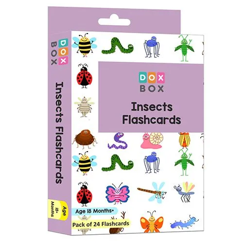 24 Flashcards  Insects and Animals